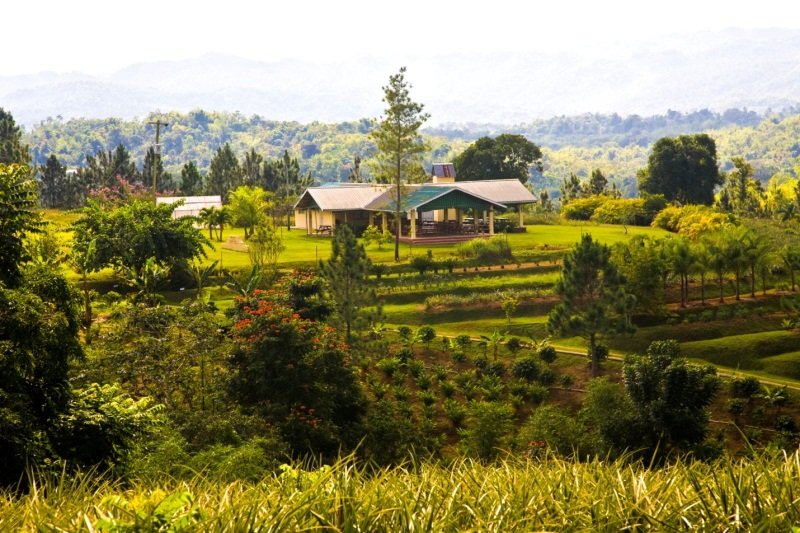 Croydon in the Mountains, Jamaica